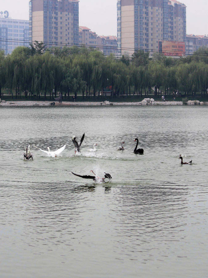 IMG_7415.jpg
