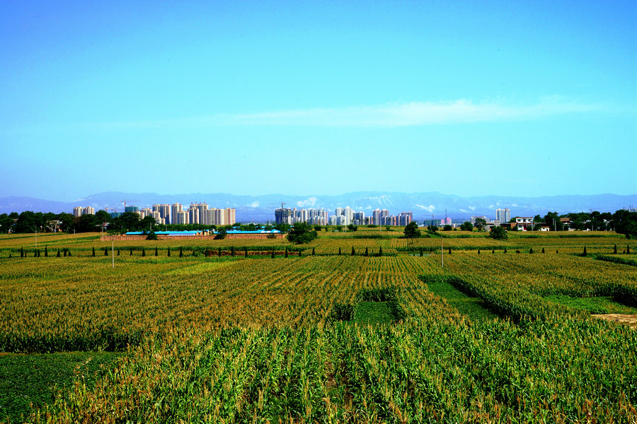 DSC03096.jpg