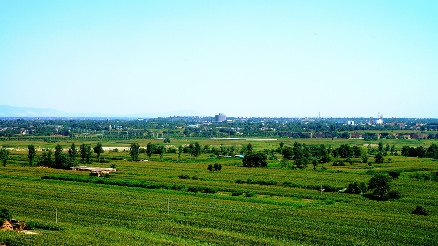 DSC03116.jpg
