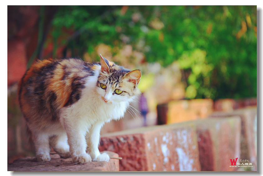 DSC_1544.JPG