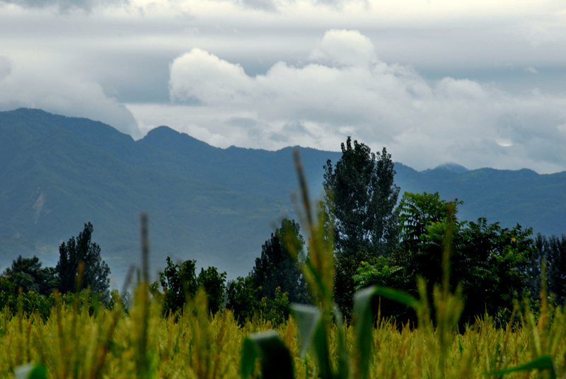 西炉丹村 (17).jpg