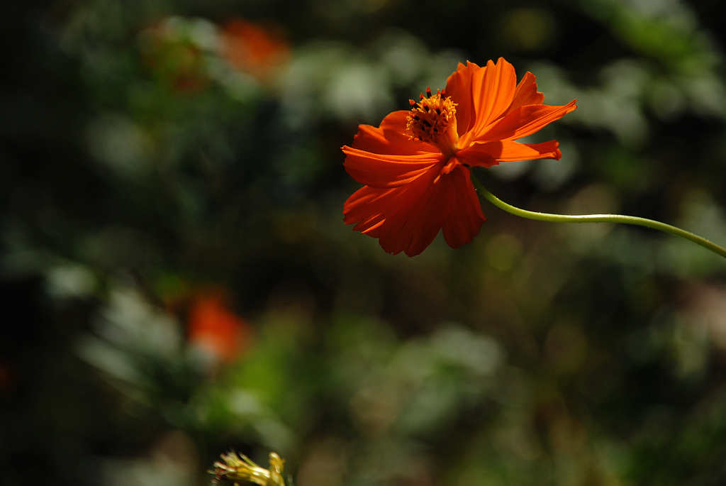 DSC_0189.JPG