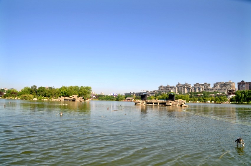 DSC_0837_conew1.jpg