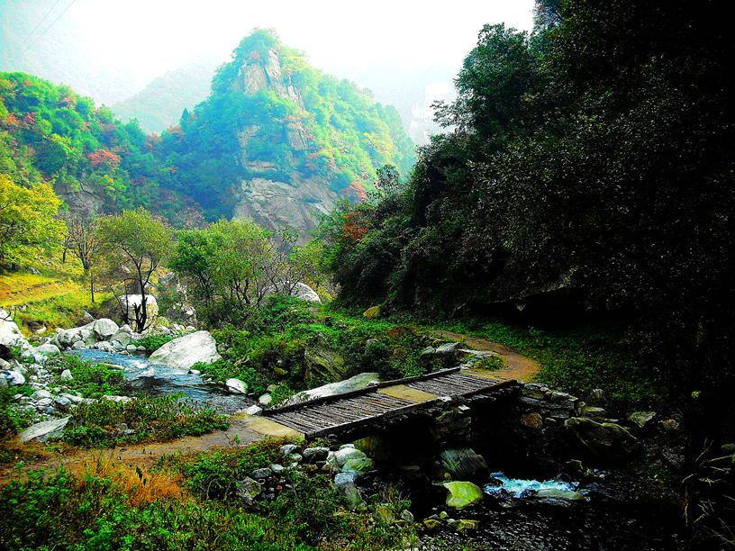 STCS 014_副本_副本.jpg