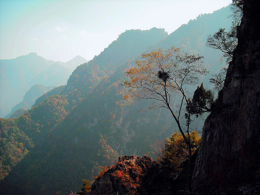 LHD 061_副本_副本.jpg