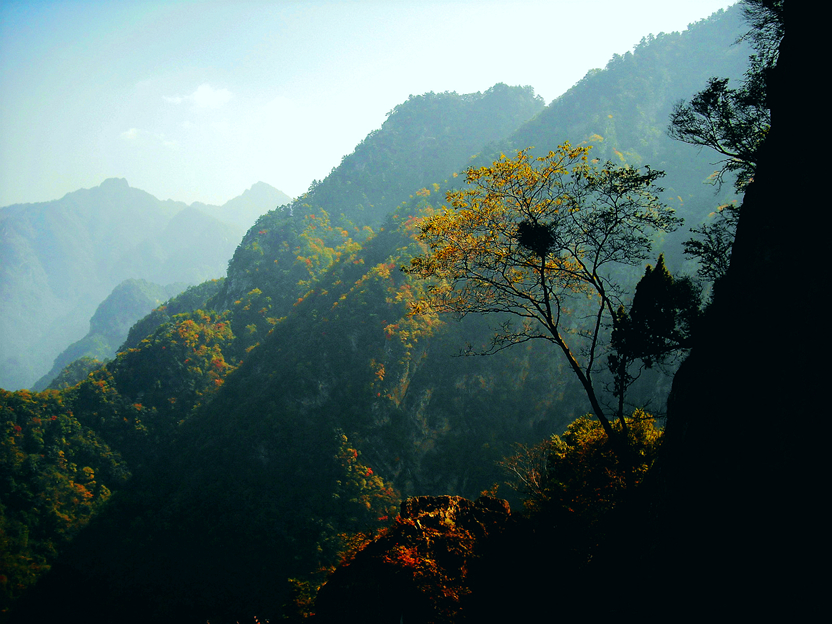 LHD 060_副本_副本.jpg