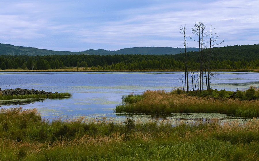 IMG_7596副本 2.jpg