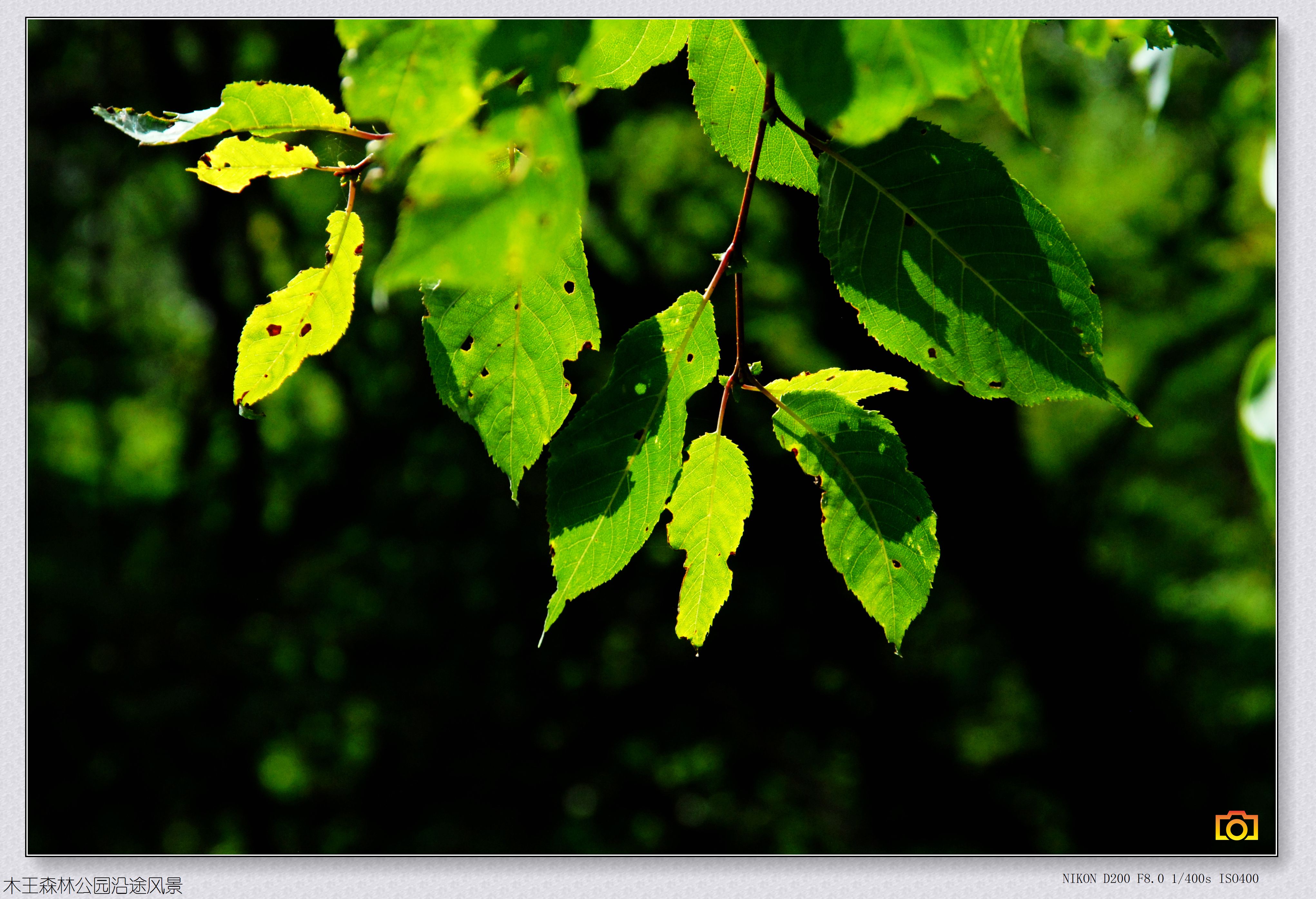 木王风景010.jpg
