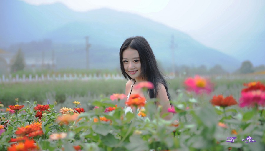 薰衣草 256_conew2.jpg