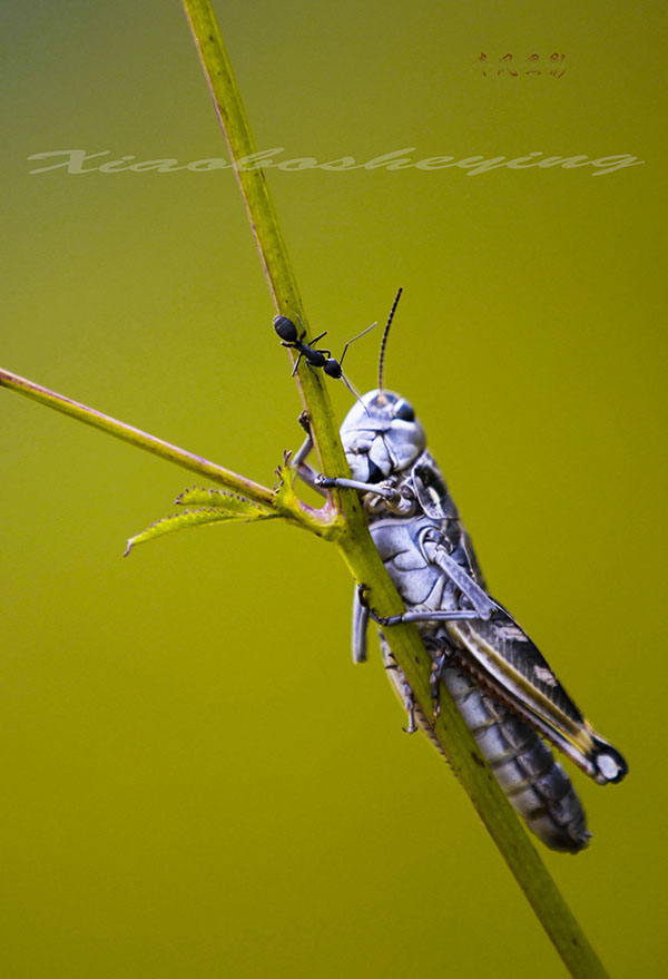 IMG_7673 (680)副本 2.jpg