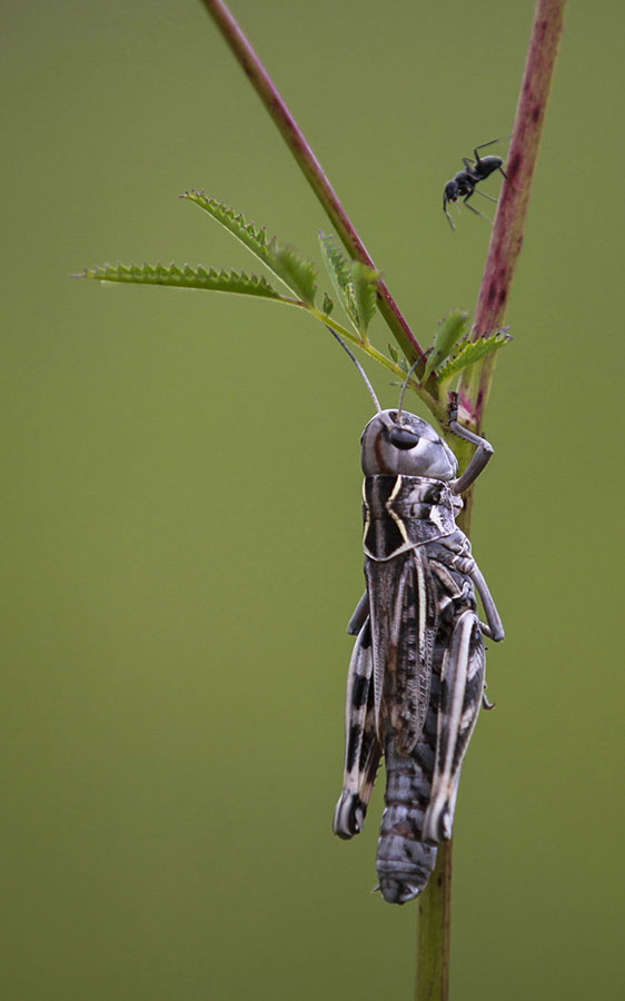 IMG_7685副本 2.jpg