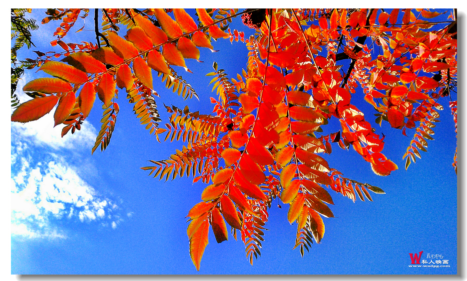 C360_2012-10-13-12-35-12.jpg