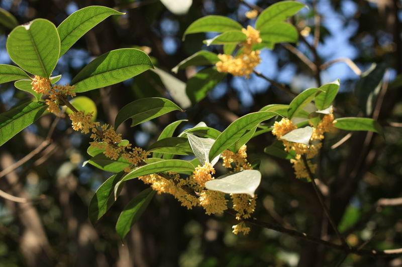 照片2013 314.jpg