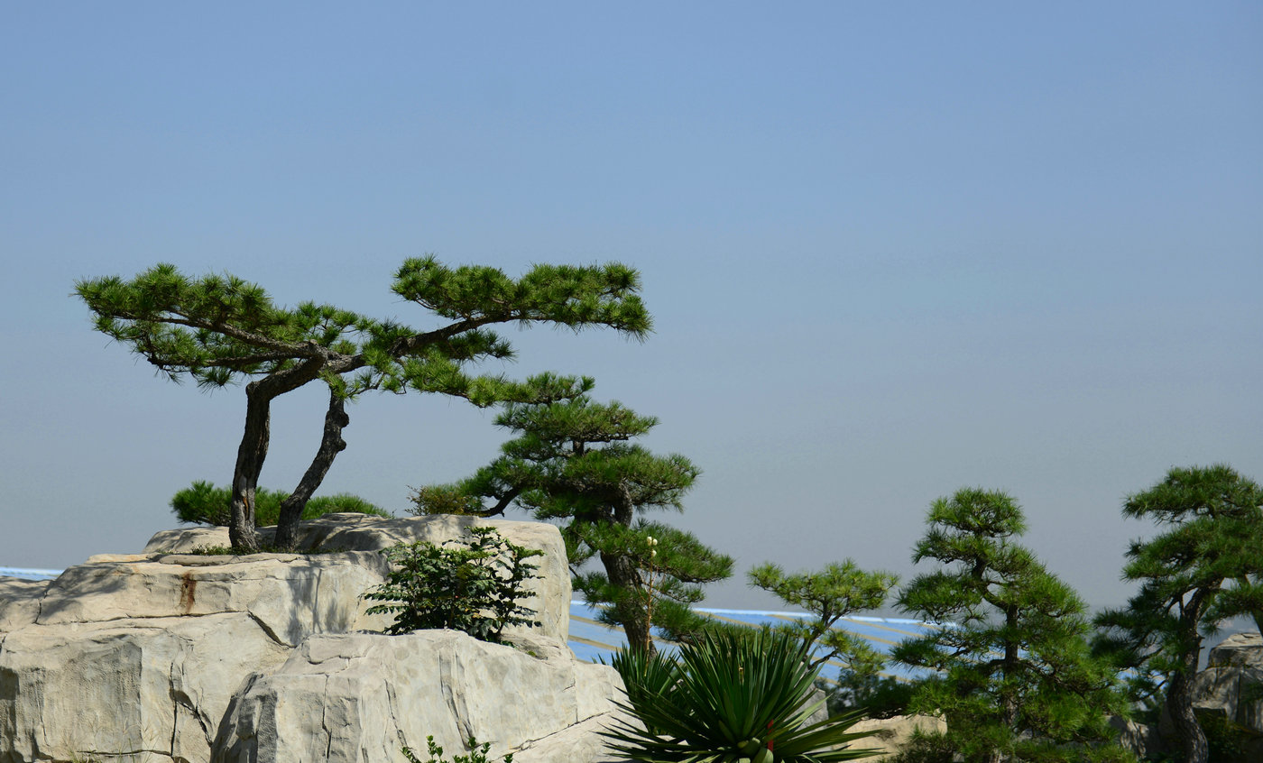 DSC_1824_副本.JPG