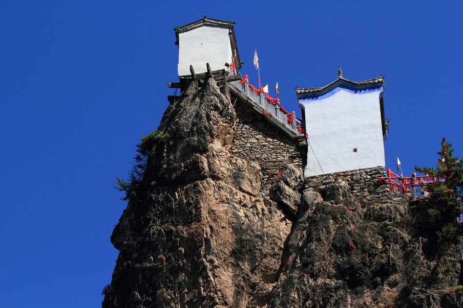 植物园313.jpg
