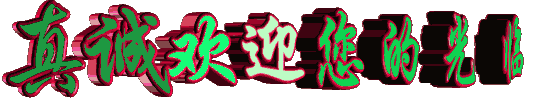 2真城欢迎你的光临.gif