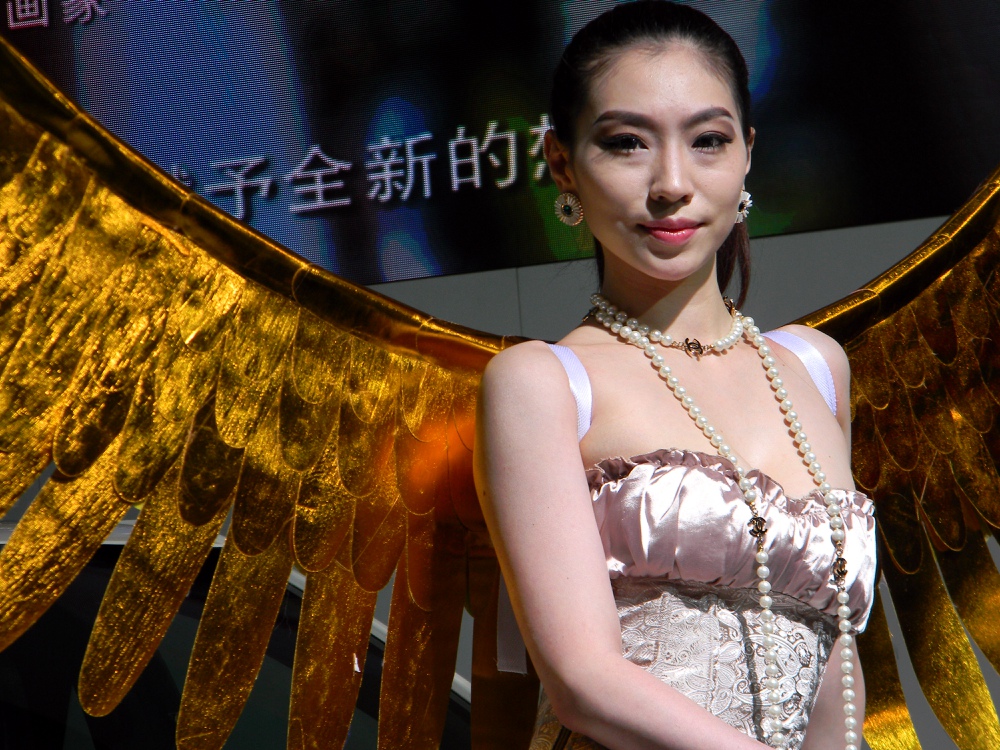 2013国庆车展作业