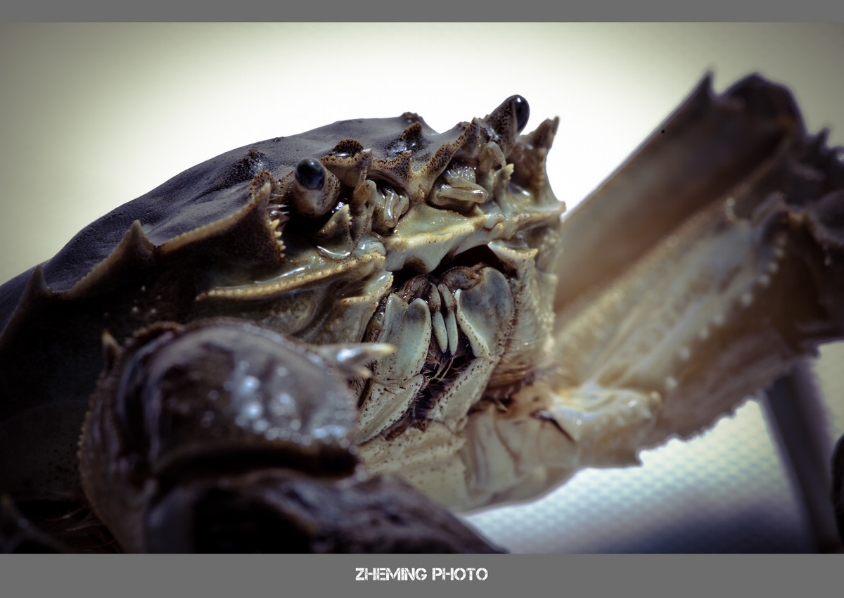 20131005-LP3A9047.jpg