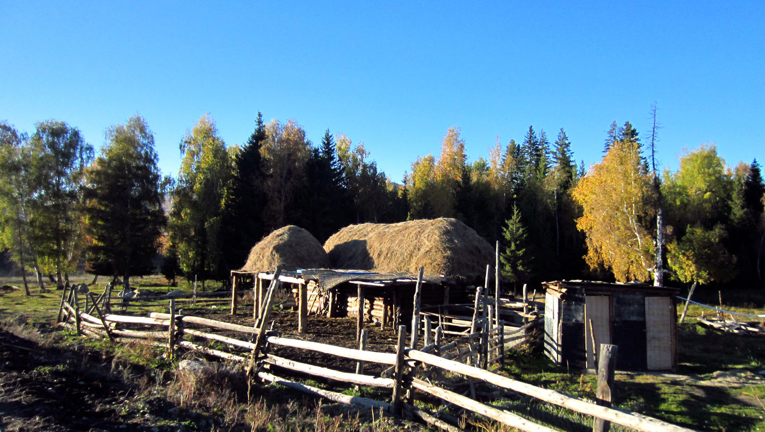 IMG_3686.JPG