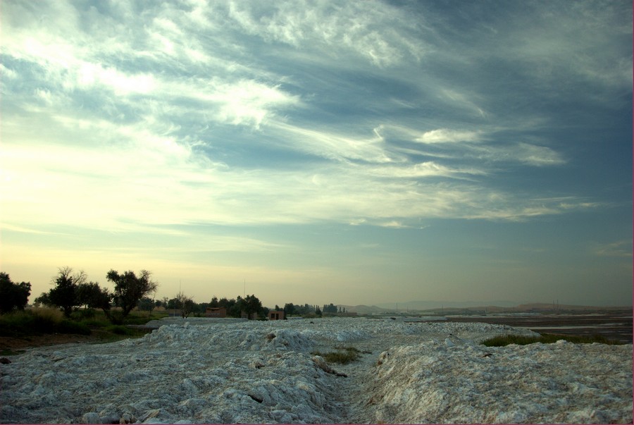 DSC_1753.jpg