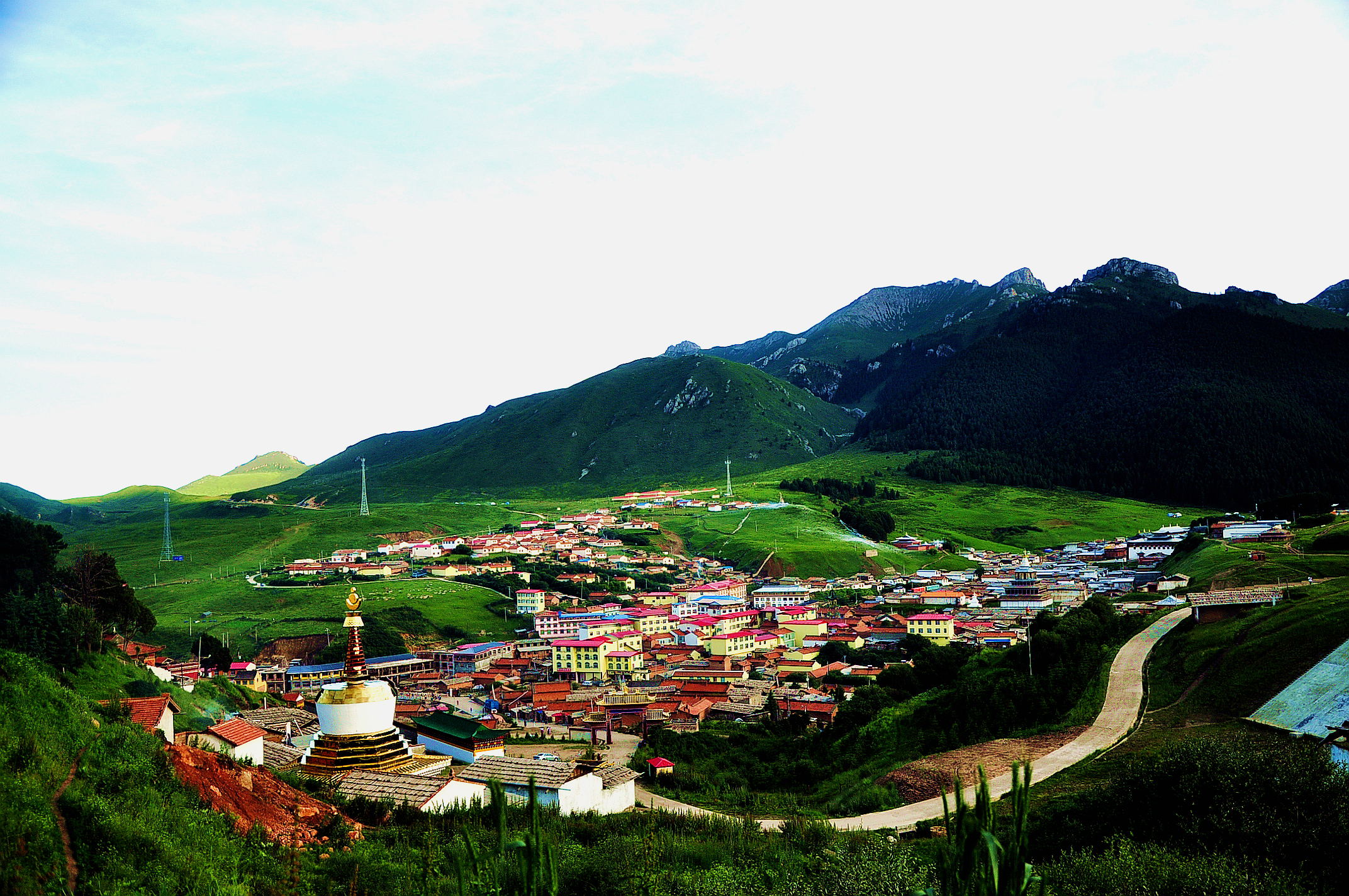 甘南之行 527.jpg