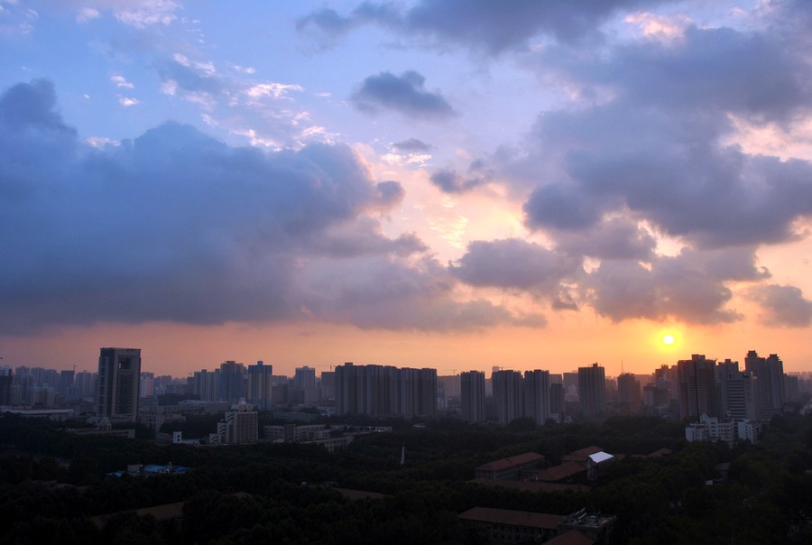 DSC_3480.jpg