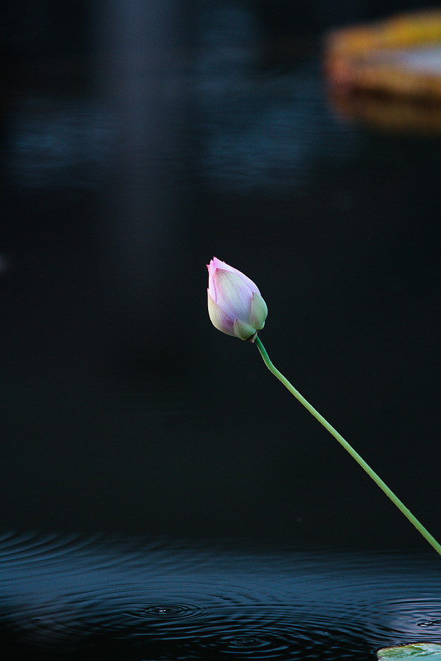 m_1378868812361.jpg