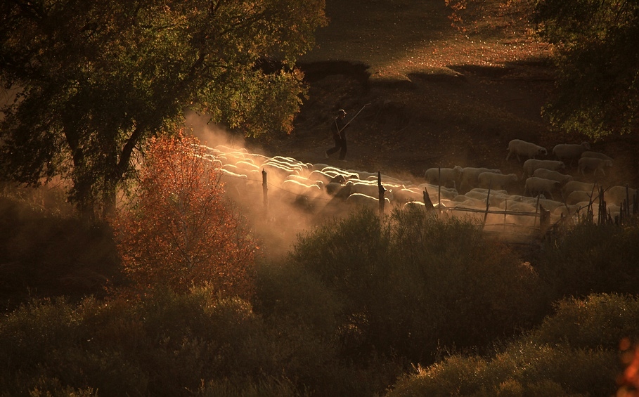 坝上(二） 200BA.jpg