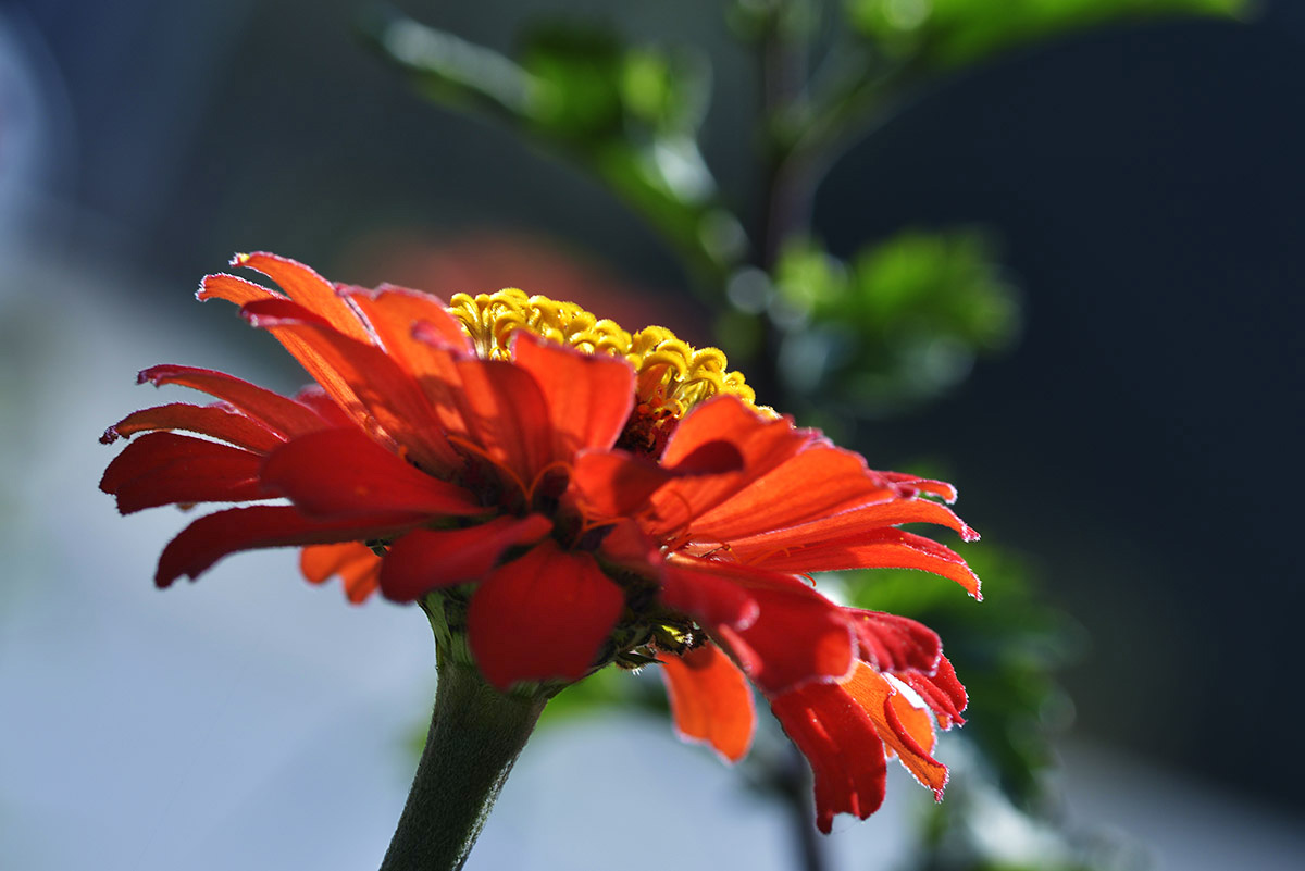 _DSC1980 (106)副本.jpg