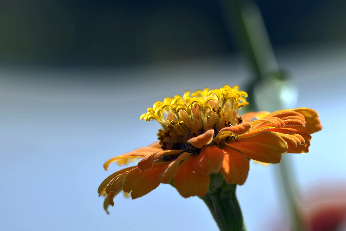 _DSC1982 (108)副本.jpg