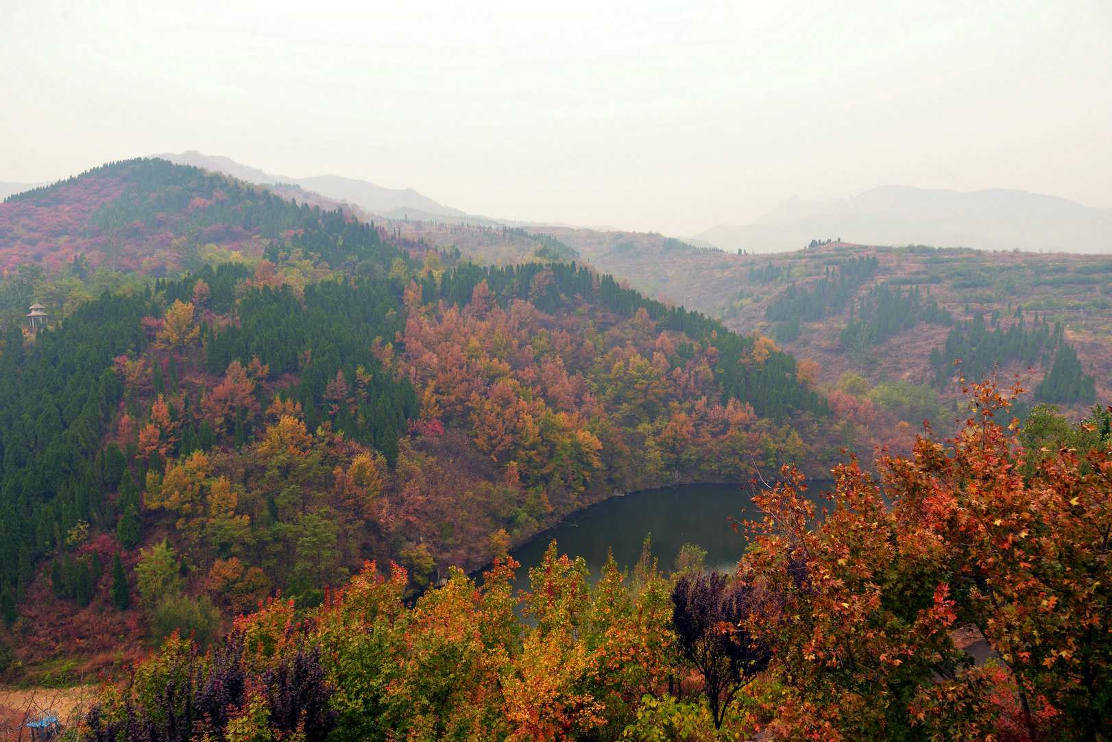 DSC_2679_副本.JPG