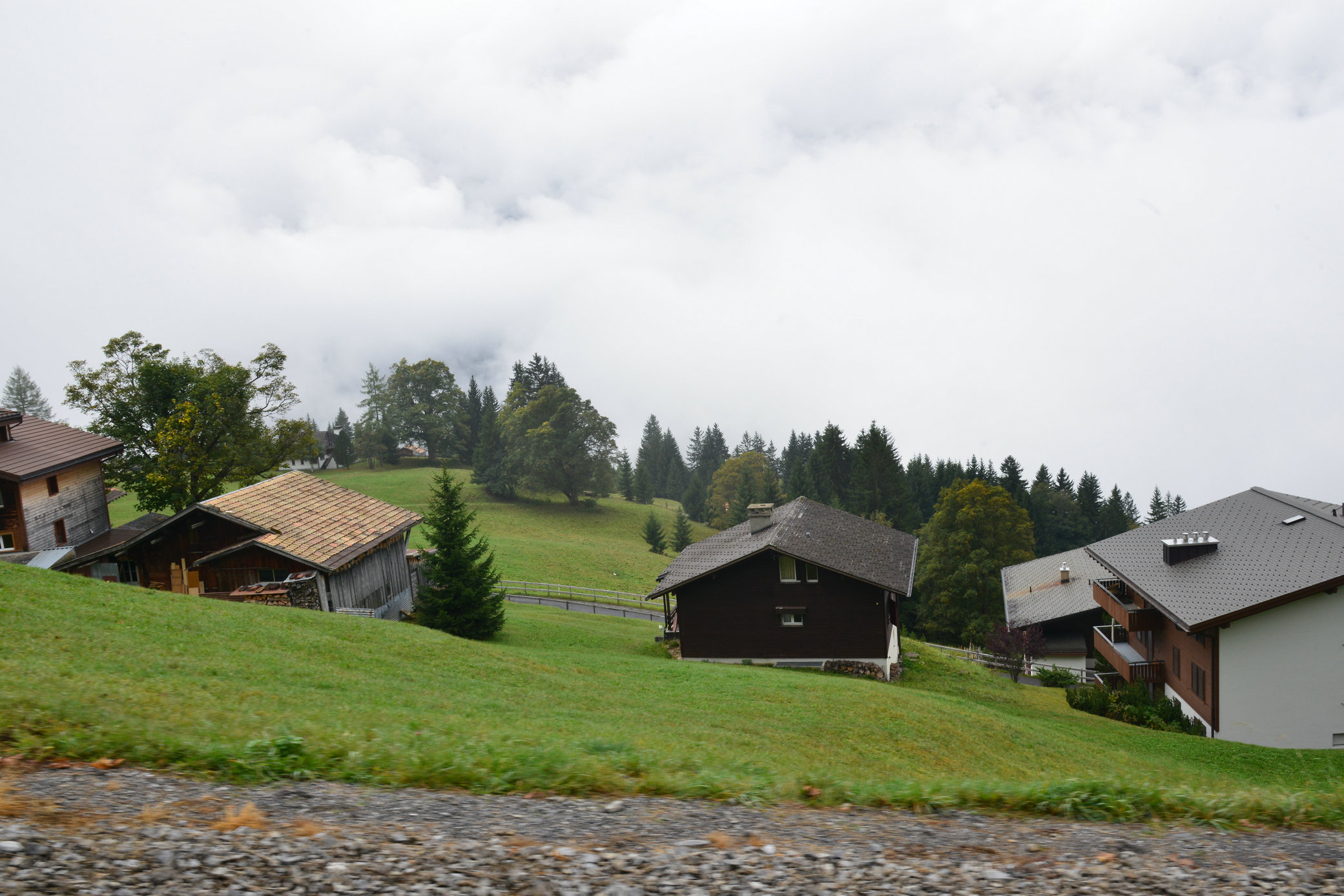 DSC_0014 - 副本.JPG