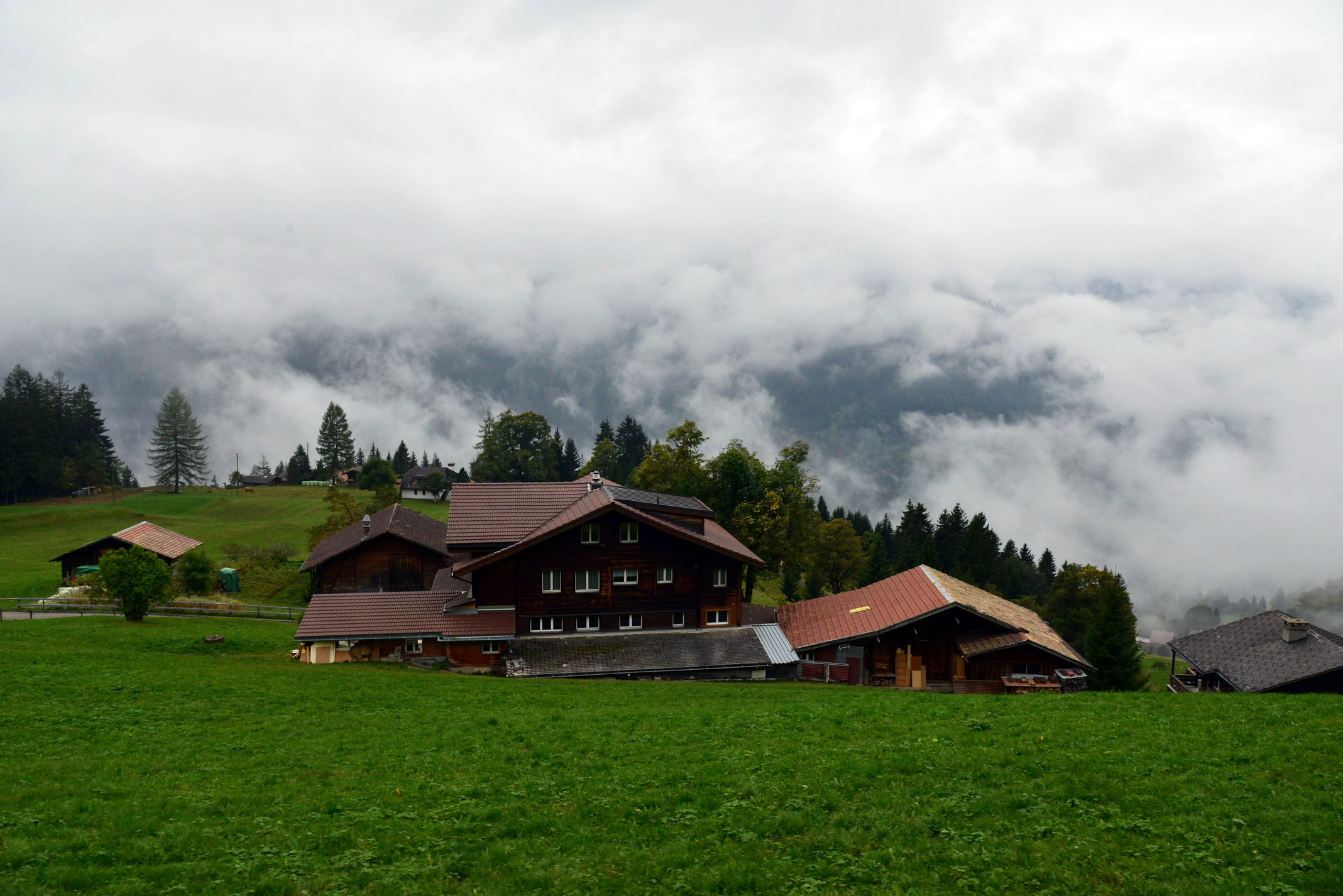 DSC_0225.JPG