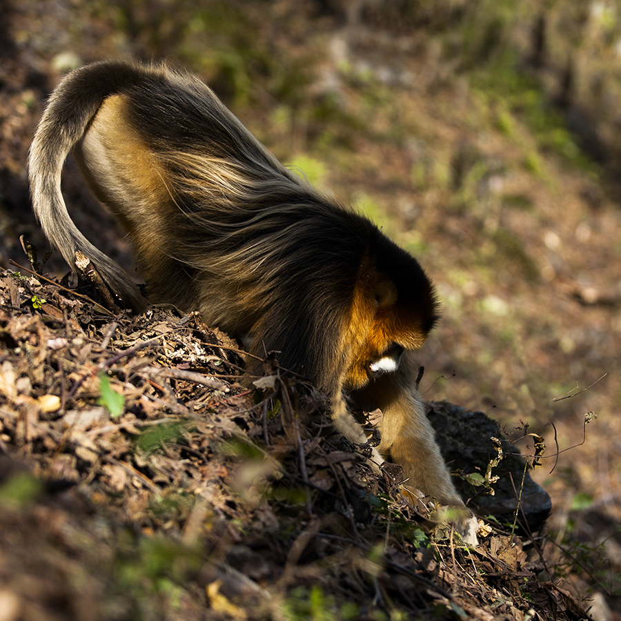 20131019_9135副本 2.jpg