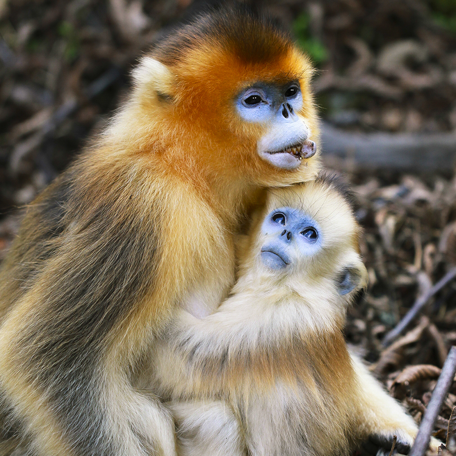 20131019_9203副本 2.jpg