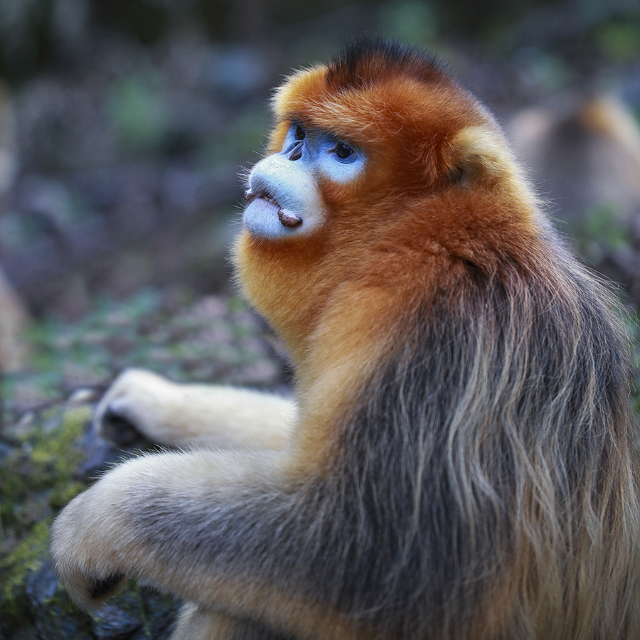 20131019_9207副本 3副本 2.jpg