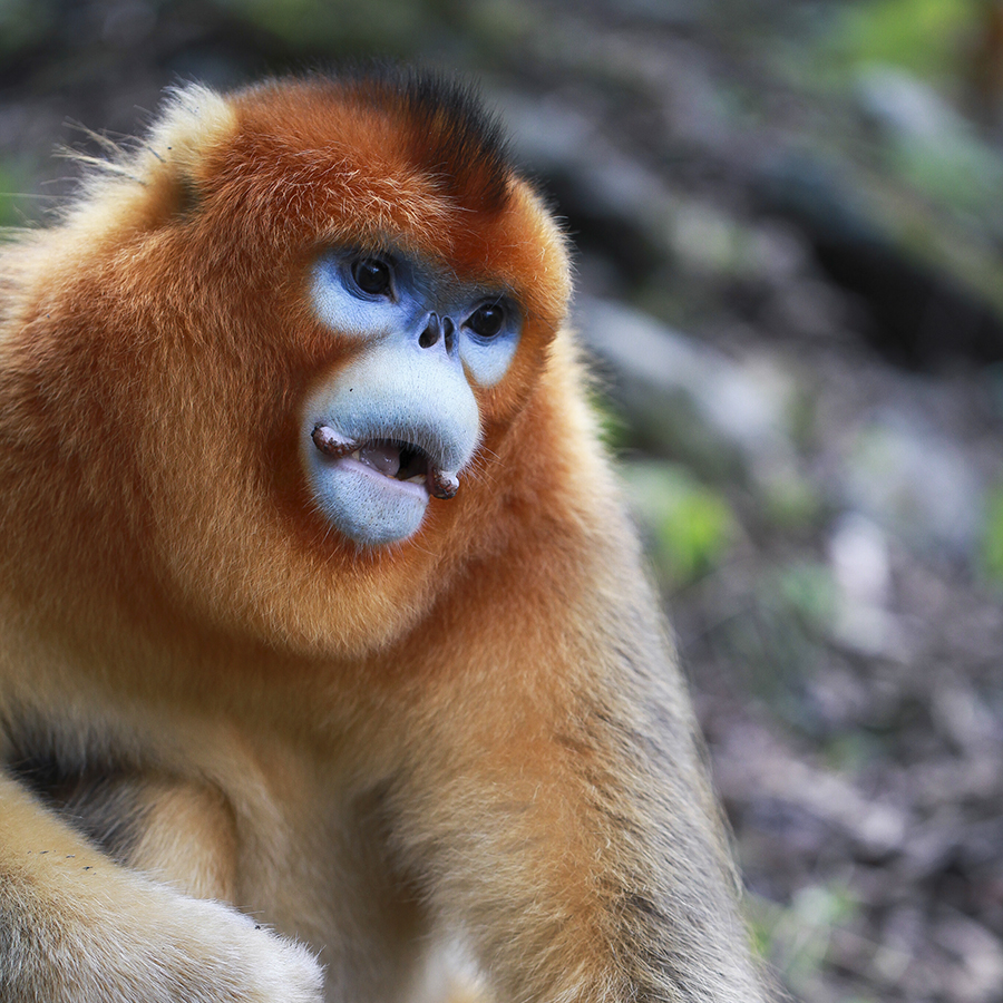 20131019_9217副本 2.jpg