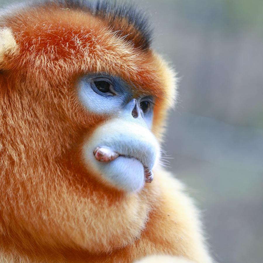 20131019_945588副本 3.jpg