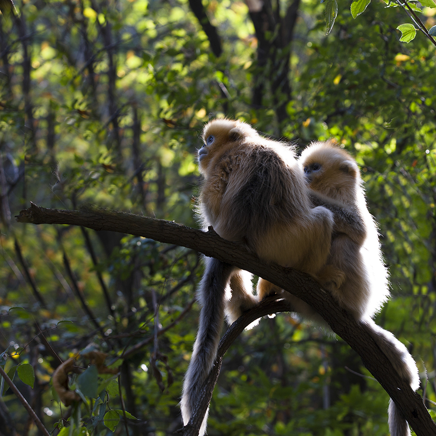 20131019_9127副本 3.jpg