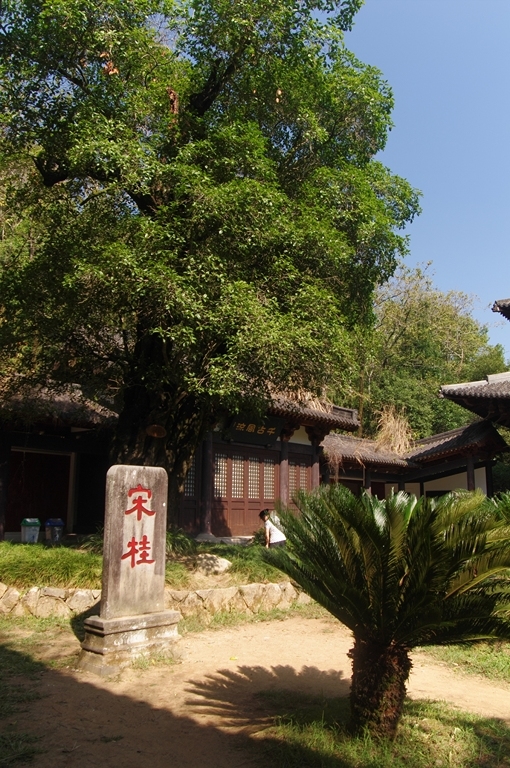 IMGP2026 (复制).JPG