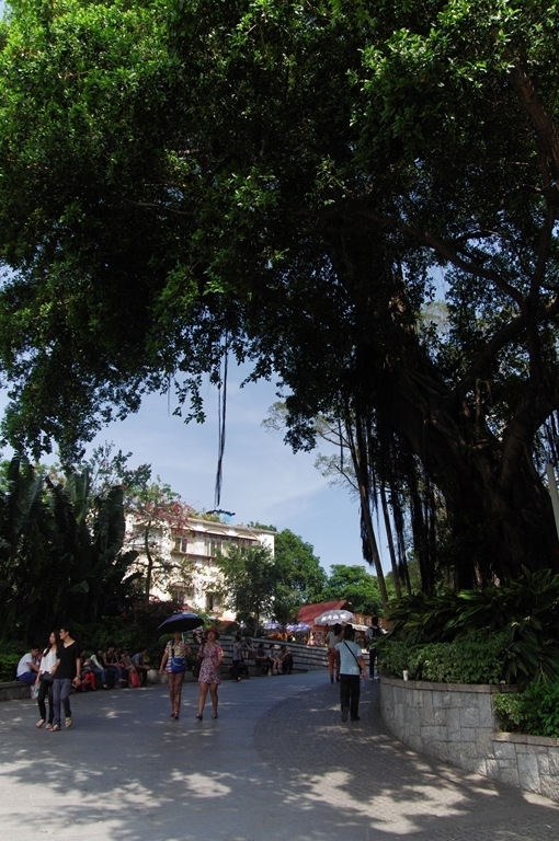 IMGP2250 (复制) (复制).JPG