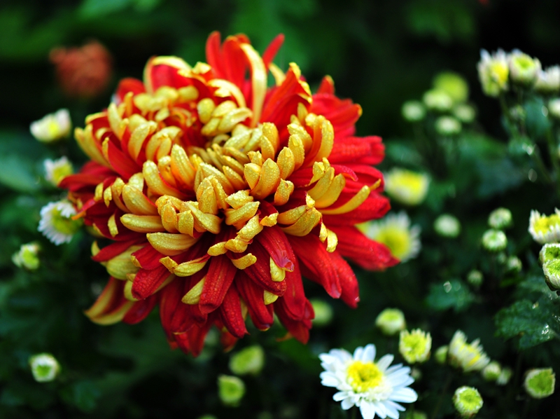 DSC_6168_副本_副本.jpg