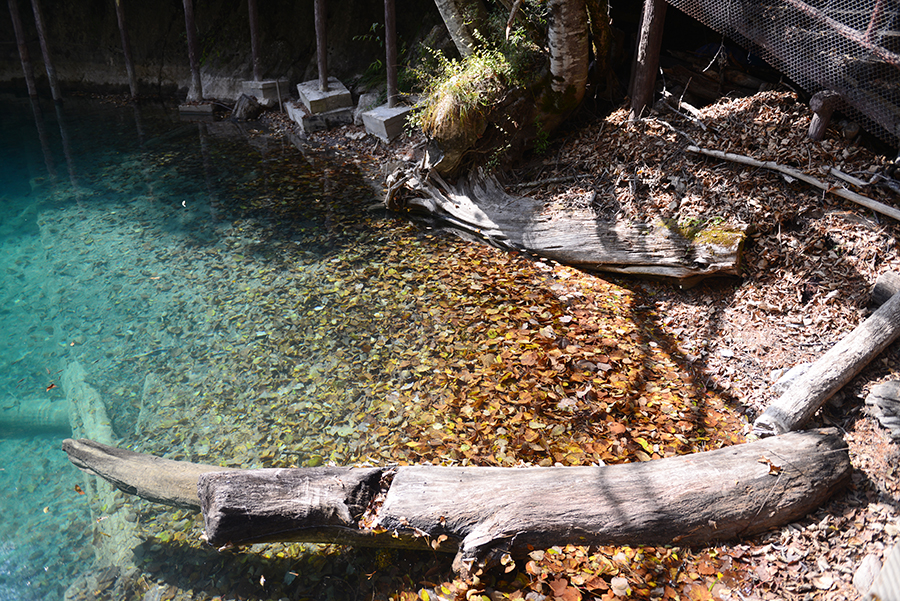 DSC_1655.JPG