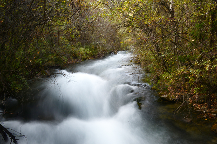 DSC_1841.JPG