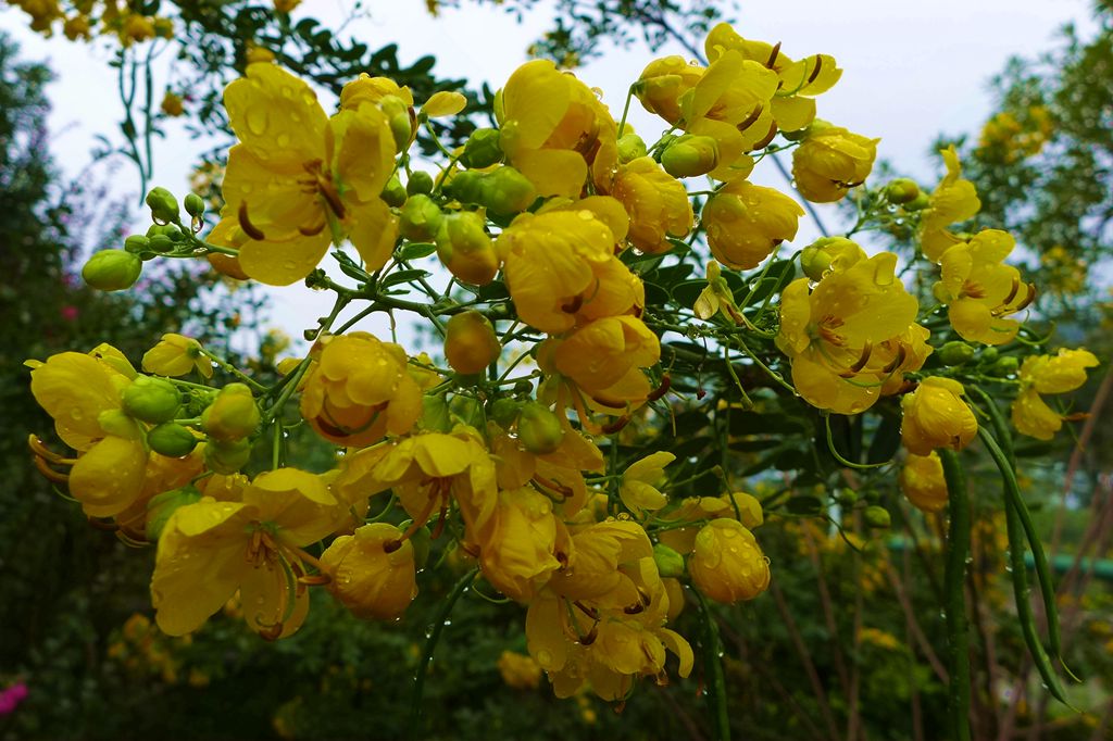 P1010490_副本.jpg
