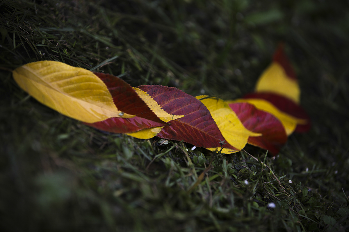 20131110_0064.jpg