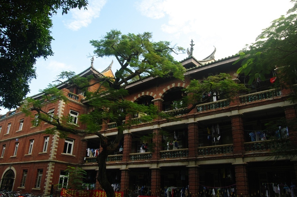 IMGP2563 (复制) (复制).JPG