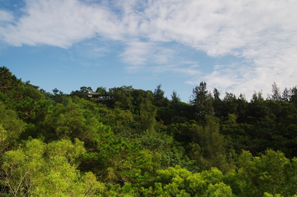 IMGP2581 (复制) (复制).JPG