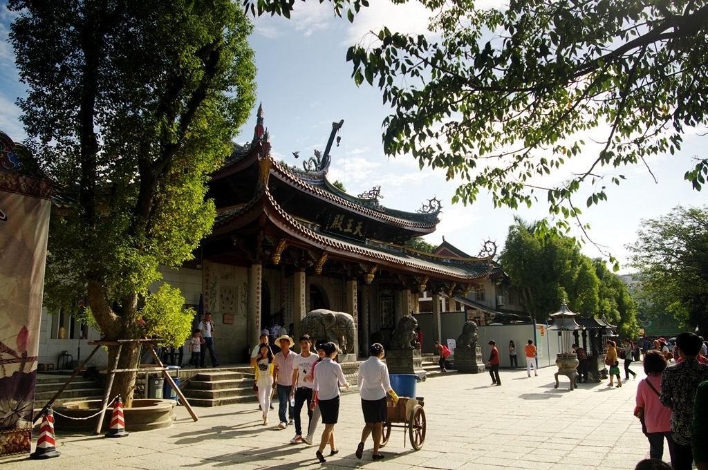 IMGP2586 (复制) (复制).JPG