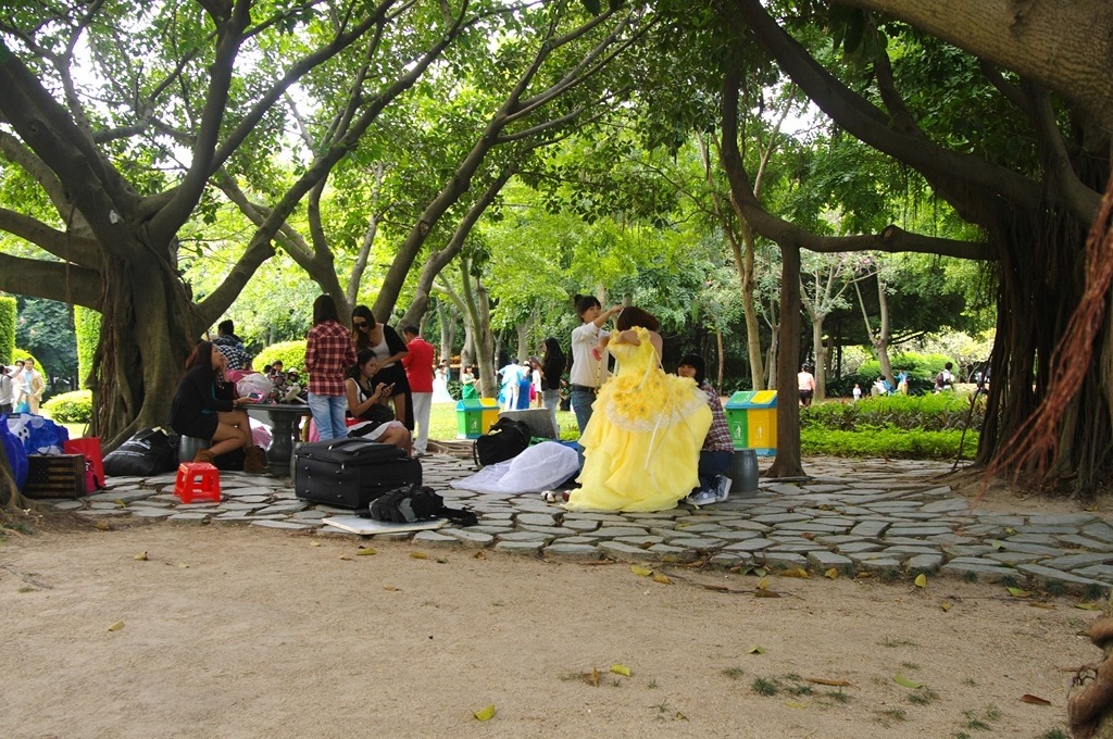 IMGP2644 (复制) (复制).JPG